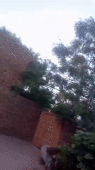 Daytime moon spotted over residential garden in Dandewal, Pakistan