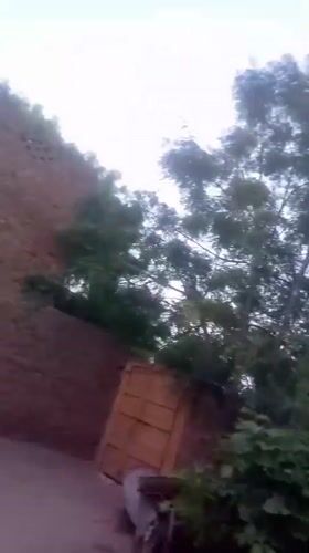Daytime moon spotted over residential garden in Dandewal, Pakistan