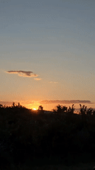 Sunset filters through trees on the Bulgarian plains