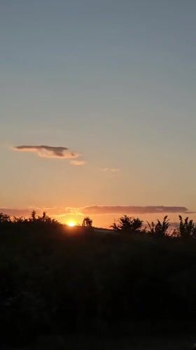 Sunset filters through trees on the Bulgarian plains
