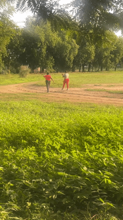 Two people walk dirt path through grassy field in Keffi