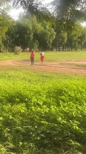 Two people walk dirt path through grassy field in Keffi