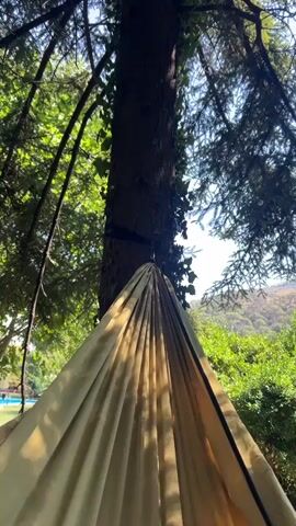 A low-angle shot captures a large tree trunk with ivy growing on it. A hammock is attached to the tree and its fabric is visible in the foreground, folded and creased. The background reveals lush green foliage and a bright sky.