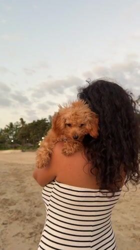 Puppy on shoulder, lone walk at dusk — Kuta Selatan beach