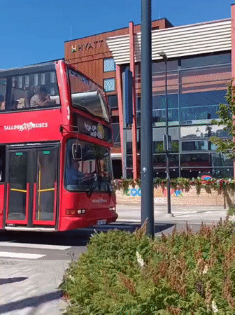 Sunny summer morning in Tallinn: buses, EVs, and blooming streetscapes
