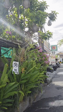 Woman visits cafe in North Kuta, reviews phone photos