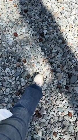 A first-person perspective video shows someone walking on a gravel path. The path is covered with small, light-colored stones and some small pine cones. The person is wearing blue jeans and white sneakers. They are walking towards a picnic area with hay bales arranged as seating, a wooden bench, and a picnic table. The area is surrounded by trees and a fence, and there are string lights hanging between trees. The weather appears to be sunny, casting shadows on the path.