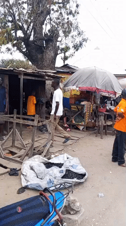Zango-ndaji, Nigeria