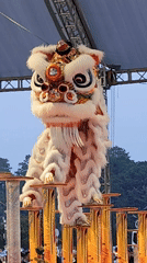 Lion dance performance captured in Da Lat, Vietnam