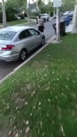 The video shows a residential street with a silver car parked along the curb, partially on the lawn. A person in a uniform, likely a parking enforcement officer, is standing next to the car, seemingly looking at it and holding something in their hands. The background includes other parked cars, houses, trees, and trash bins. The camera is held by someone moving slightly, causing a somewhat shaky view.