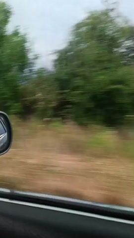 The video shows a view from inside a moving car, looking out the passenger side window. The landscape consists of fields of dry grass and green crops, with some trees and houses visible in the distance. The sky is overcast with gray clouds. The side mirror of the car is visible in the lower left corner of the frame, reflecting the interior of the car. The motion blur indicates the car is traveling at a moderate speed.