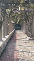 Tourist documents scenic walkways and buildings in Montenegro coastal area