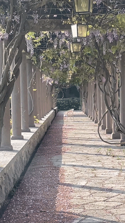 Tourist documents scenic walkways and buildings in Montenegro coastal area