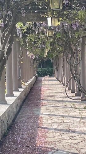 Tourist documents scenic walkways and buildings in Montenegro coastal area