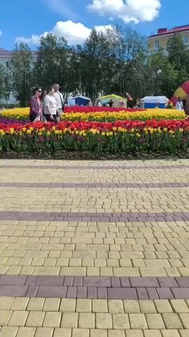 A video shows a park with a large flower bed of tulips in yellow and red. A little girl on a scooter rides across a patterned paved walkway in the foreground. In the background, there are people, trees, buildings, and an inflatable archway with a stage.