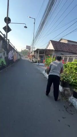 A person in a gray t-shirt and black pants is seen from behind, tending to plants in pots on the side of a paved road. The person is bent over, seemingly watering or tending to the greenery. The road appears to be in an urban or semi-urban environment. To the left of the road, there is a graffiti-covered wall and a pole with a lamp and wires. To the right, there are houses with tile roofs and more potted plants. The sun is shining, indicating it is daytime. The overall scene suggests a domestic or community gardening activity.