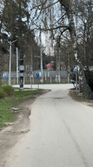 Train observed passing through wooded area near Tomilino, Russia