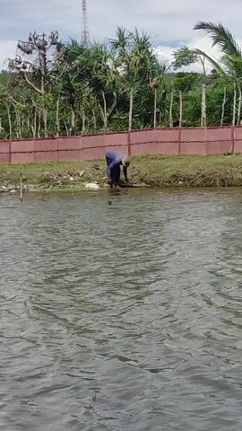 An adult individual, wearing a dark blue long-sleeved shirt, dark pants, and a wide-brimmed light-colored hat, is bent over at the edge of a body of water, with their hands submerged. They appear to be washing something or retrieving items from the water, causing slight splashes. The water has ripples on its surface. The background features a grassy bank with some debris, followed by a reddish-brown fence, and then dense green foliage and trees. A communication tower is visible in the distant background against a partially cloudy sky.