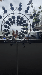 Morning domestic scenes captured in Krasnoyarsk homes