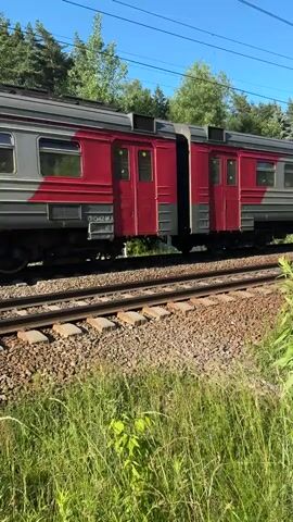 A side view of a passenger train moving along a track. The train is light gray with a red stripe below the windows. There are several windows visible on the side of the train cars. The train is passing through a natural environment with trees and green foliage in the foreground and background. The sky is clear and blue. The train tracks are made of gravel and wooden sleepers. Overhead power lines are visible against the sky. The video captures the movement of the train from a stationary perspective.