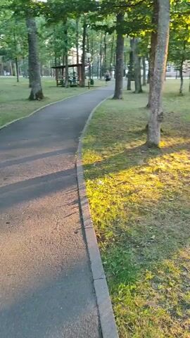 A paved path curves through a park like area with trees on both sides. Sunlight streams through the leaves creating dappled shadows on the grass. A person is visible walking on the path in the distance.