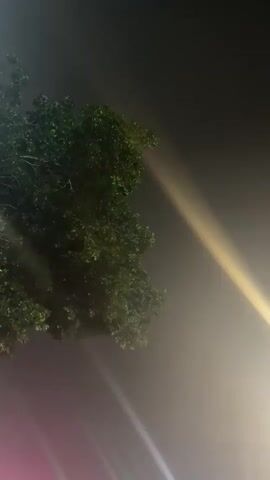 A low-angle shot looks up at the dark sky, with a large, leafy green tree on the left.  Faint beams of light, appearing as streaks, pierce through the hazy atmosphere. One prominent beam of yellowish-white light cuts diagonally from the upper right towards the bottom center. Another beam of pinkish-purple light is visible at the bottom left. The lighting suggests it is nighttime, possibly with fog or mist. There are no visible people or distinct objects other than the tree and the light beams.
