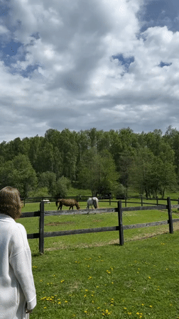 Woman interacts with cattle on rural Russian property