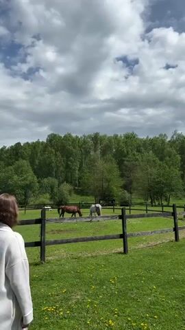 A person in a long white coat walks towards a wooden fence, then turns their head back briefly.  Beyond the fence, two horses graze in a grassy field with scattered yellow flowers. A forest stands in the background under a cloudy sky.