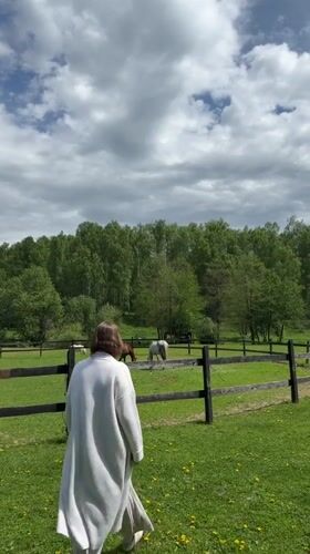 Woman interacts with cattle on rural Russian property