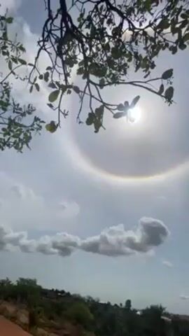 The video shows a view of the sky, with a 22 degree halo around the sun. Tree branches with green leaves are in the upper part of the frame. The sky is blue with scattered white clouds. Below the horizon line are some green hills and vegetation. A voiceover says, "I tell you all, the Lord has come to feast in my place."