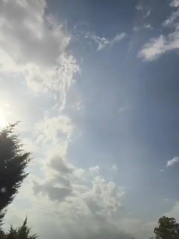 A bright sun peeks through a sky dotted with clouds. The sun is to the left of the frame, casting a soft glow. The clouds are scattered, with some appearing dense and white, while others are wispy and translucent. Below the sky, the tops of trees are visible. The trees are dark green and appear to be coniferous. The overall impression is of a clear day with some cloud cover, possibly in the late afternoon or early morning, given the quality of the light.