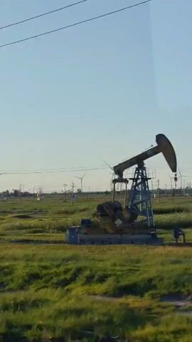 The video shows a landscape with numerous wind turbines and some oil pump jacks. The sky is clear and blue. The ground is covered with green grass and some scattered rocks or mounds. There are also power lines visible, supported by utility poles. The scene appears to be a rural or industrial area with a mix of renewable and fossil fuel energy infrastructure. The camera seems to be moving, suggesting it might be filmed from a vehicle. The lighting indicates it is daytime, possibly late afternoon or early evening due to the warm tones. No people or animals are clearly visible in the frame.