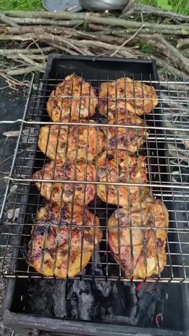 The video shows a close-up shot of several pieces of chicken being grilled over charcoal. The chicken pieces are arranged on a metal grill rack, which is positioned over a black metal grill box filled with glowing embers. The chicken appears to be well-cooked, with a golden-brown color and grill marks. In the background, there are some branches and greenery, suggesting an outdoor setting. There are no people or animals visible in the video.