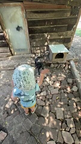 A person wearing a hat and a blue and yellow shirt walks on cobblestones. A black dog stands near a wooden structure with a bowl of food. The person raises their arm and then continues to walk away from the dog.