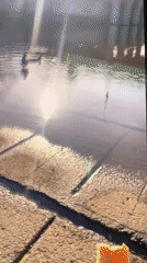 Family day in Pilsen: cathedral squares, forest rocks, and a baby.