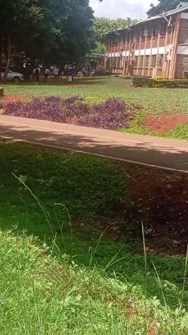 The video shows an outdoor scene with a grassy area in the foreground and buildings in the background. A silver car drives on a paved road that cuts through the scene, passing behind a patch of purple flowers and next to a wheelbarrow. People are visible in the background, standing near the buildings and around some parked cars. The camera remains stationary. The lighting is bright, suggesting a sunny day. Some trees provide shade in parts of the scene.