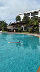Pool session and Chalong streetside snapshots, June 2026
