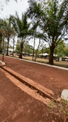 Spring blooms documented along nature path in Miango, Nigeria