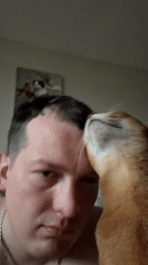Man documents affectionate moments with cat in late-night selfies