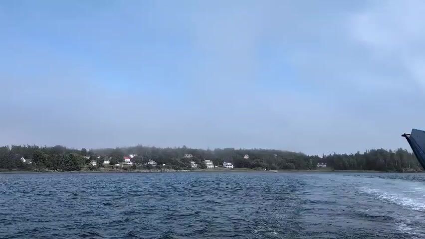 The video shows a body of water with a shoreline in the distance. The shoreline is lined with trees and several houses. The sky is overcast. The camera appears to be moving, possibly on a boat, as indicated by the wake trailing behind on the right side of the frame. The water is choppy. The overall impression is a coastal scene on a slightly hazy day.