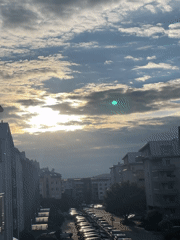 Blue rubber ducks, a Scottish Fold cat, and dramatic skies
