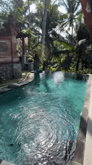 Woman takes morning selfies at tropical pool in Ubud