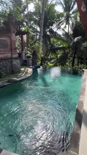 Woman takes morning selfies at tropical pool in Ubud