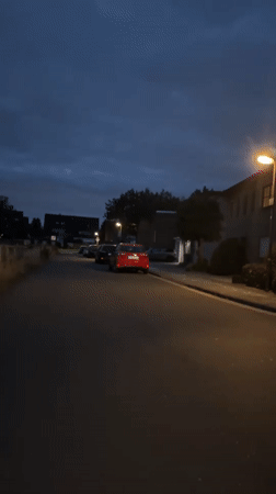 Dusk drive through Krefeld streets, with a roadside wildflower detour