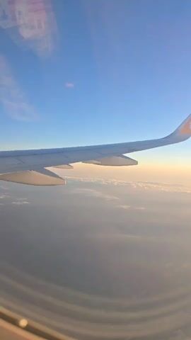 The video shows a view from an airplane window, looking out over the wing during what appears to be either sunrise or sunset. The airplane is flying above a thick layer of clouds, which are illuminated with warm, golden light near the horizon. Above the clouds, the sky is a clear, bright blue. The white wing of the aircraft is prominent in the foreground, with an orange wingtip that features a white, bird-like logo, possibly indicating the airline. The sunlight creates a soft, diffused glow across the scene. The reflections of the interior of the airplane's cabin are visible in the window. The sound of airplane engines can be heard in the background.