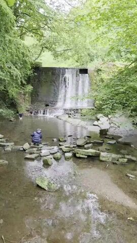 A low-angle, eye-level video shot from a fixed position shows a man in a black puffer jacket crouching on a flat, light-gray stone in a shallow body of water that has a waterfall behind him. The man looks down into the water. A black dog is to the man’s left, closer to the background. The man is to the right of the center of the frame in the foreground. He faces to the left. A short, man-made waterfall stretches across the center of the frame and flows into the body of water. The waterfall flows over a tall, dark-gray, rectangular, concrete wall. A tree-filled, green hillside is in the background. Many light-gray, flat stones of various shapes and sizes are scattered around the body of water in the foreground. The sky is white. The video has no audio.