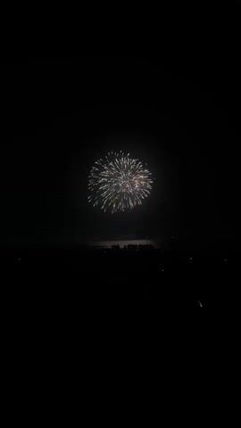 The video captures a fireworks display over a body of water at night. Silhouetted crowds are visible in the foreground, facing the water. The fireworks are various colors, including white and red, and explode in a chrysanthemum pattern. Some smaller fireworks are also visible. The overall scene is dark, illuminated by the light of the fireworks.