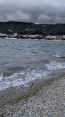 Casual afternoon scenes documented across Gelendzhik tourist areas