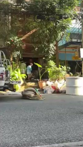 The camera is positioned across the street from a building, likely a residence, with two men moving what appears to be large tires from the curb into the house. The building has a raised entrance with a few steps. The scene is cluttered with plants, bags of material, and a white trash can in the foreground. There's a white pickup truck partially visible on the left, and urban utility fixtures on the right. The day is sunny, and shadows are apparent.