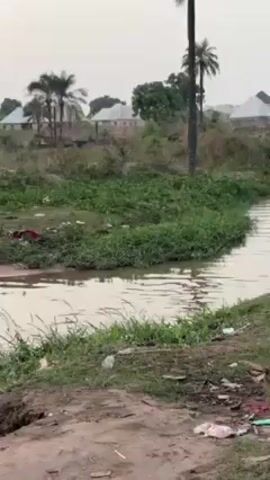 The video shows a muddy, slow-moving stream or river in what appears to be a developing or rural area. The water is opaque and brown, possibly due to silt or sediment. Debris and trash are visible along the banks of the river and in the surrounding grassy vegetation. In the distance, there are buildings with what look like corrugated metal roofs. A couple of palm trees are also in the background. Closer to the water's edge, three people are visible: two are bent over, appearing to wash clothes in the river. The third person is walking towards them with a blue container. The overall scene suggests a daily chore being carried out in a less-than-ideal environmental setting.